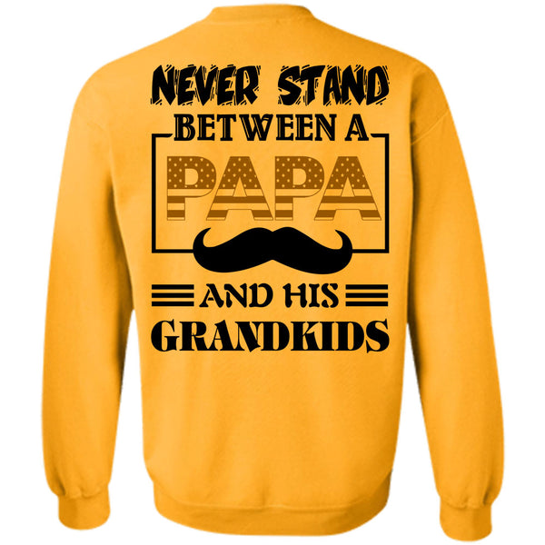 Being A Father T Shirt, Never Stand Between A Papa And His Grandkids Sweatshirt