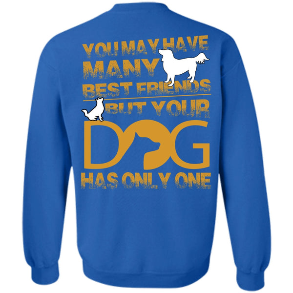 You May Have Many Best Friend T Shirt, I Love My Dog Sweatshirt
