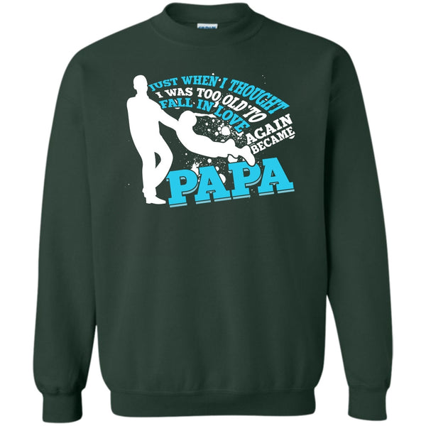 Became Papa T Shirt, Coolest Papa Eve Sweatshirt