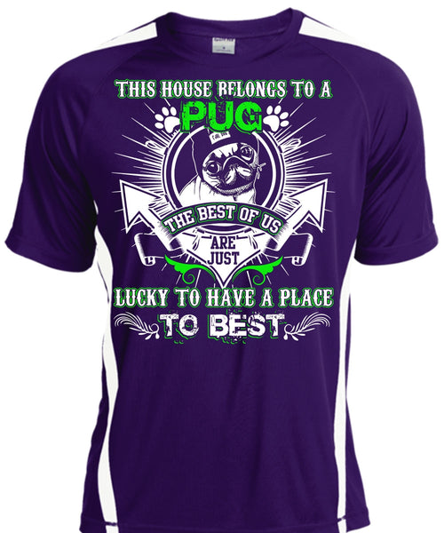 This House Belongs To A Pug T Shirt, Lucky To Have A Place T Shirt, Cool Shirt
