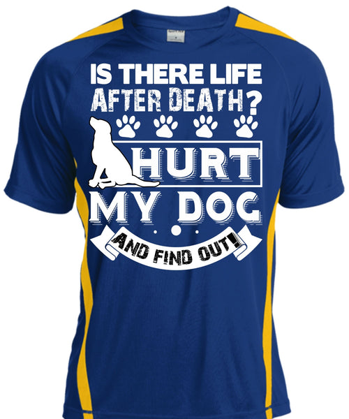Hurt My Dog And Find Out T Shirt, Is There Life After Death T Shirt, Cool Shirt