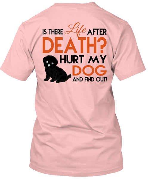 Hurt My Dog And Find Out T Shirt, Favorite T Shirt