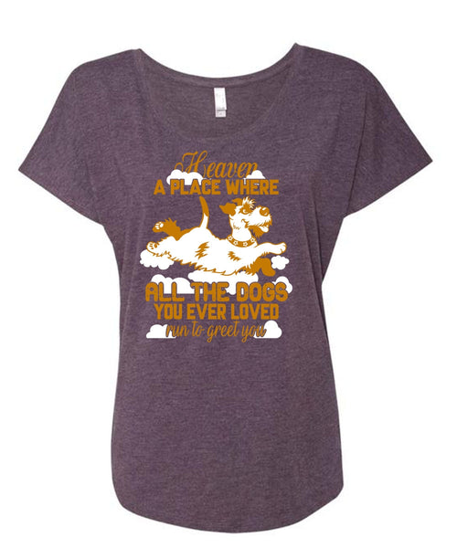 Heaven A Place Where All The Dogs T Shirt, Run To Greet You T Shirt, Cool Shirt (Ladies' Triblend Dolman Sleeve)