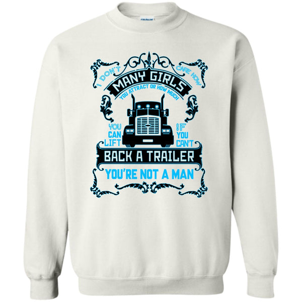 I Don't Care How Many Girls T Shirt, I Am A Truck Driver T Shirt, Awesome t-shirts