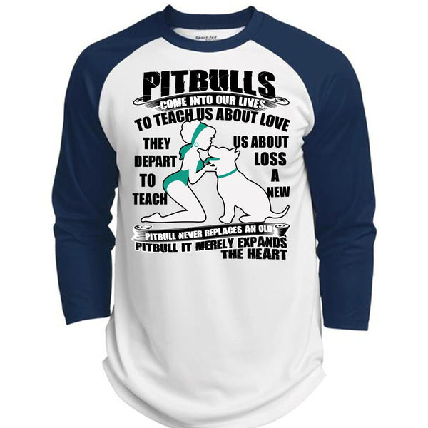 Pit Bulls Come Into Our Lives T Shirt, I Love Pit Bull T Shirt, Awesome T-Shirts  (Polyester Game Baseball Jersey)