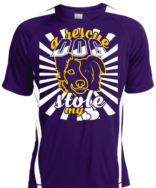 A Rescue Dog Stole My Heart T Shirt, Favorite T Shirt, I Love Dog T Shirt
