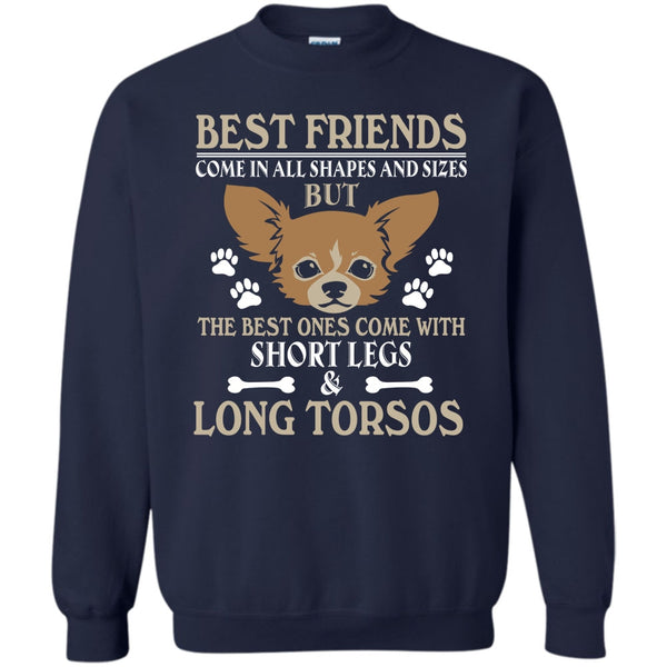The Best One Come With Short Legs & Long Torsos T Shirt, Coolest Dog Sweatshirt