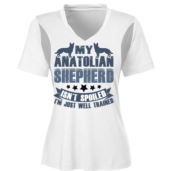 My Anatolian Shepherd Isn't Spoiled T Shirt, I Love My Dog T Shirt, Awesome T-Shirts