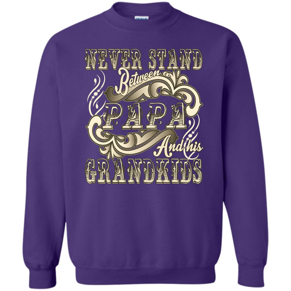 Papa And His Grandkids T Shirt, Coolest Papa Sweatshirt