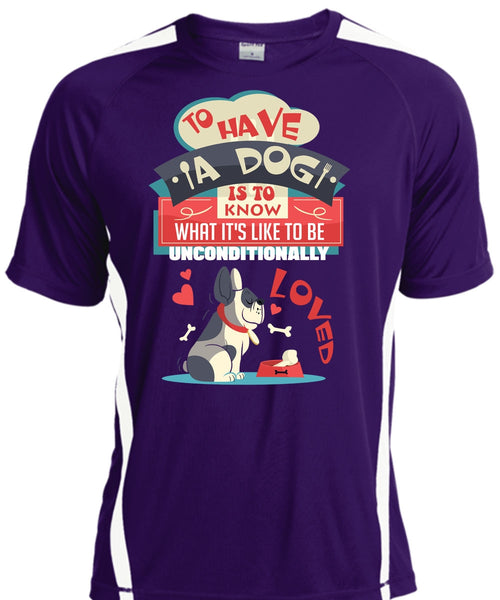 To Have A Dog Is To Know T Shirt, My Favorite T Shirt, Cool Shirt