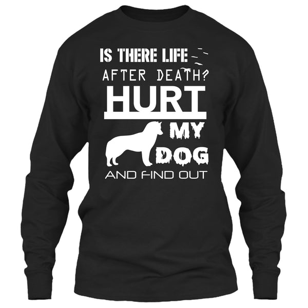 Is There Life After Death T Shirt, Hurt My Dog And Find Out T Shirt