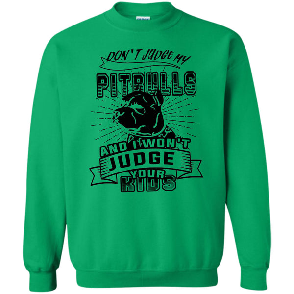 Coolest Dog Lover T Shirt, Don't Judge My Pit Bull Sweatshirt