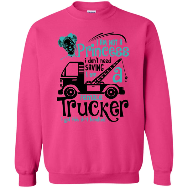 Coolest Trucker T Shirt, I'm Not A Princess Sweatshirt