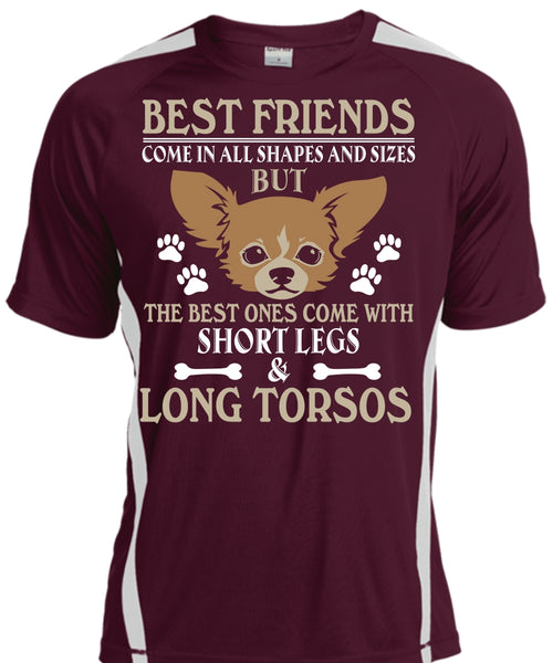 Best Friends Come In All Shapes And Sizes T Shirt, My Dog T Shirt