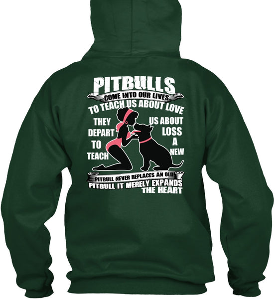 Pit Bulls Come Into Our Lives T Shirt, My Favorite T Shirt