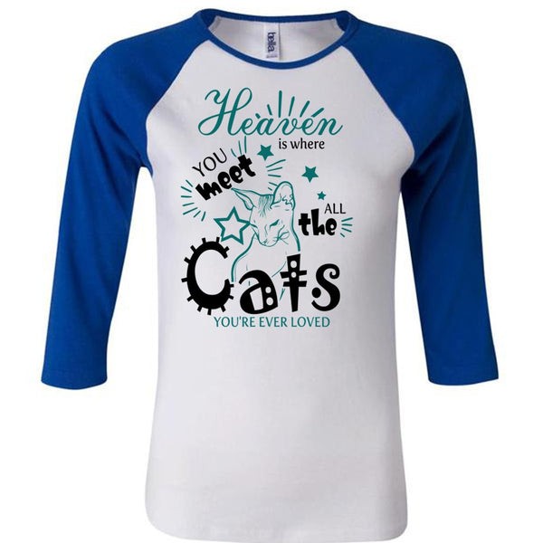 Heaven Is Where You Meet All The Cats T Shirt, I Love My Cat T Shirt, Awesome T-Shirts