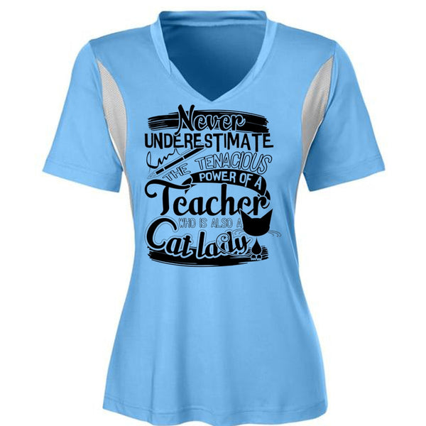 The Tenacious Power Of A Teacher T Shirt, I Love Cat T Shirt, Awesome T-Shirts