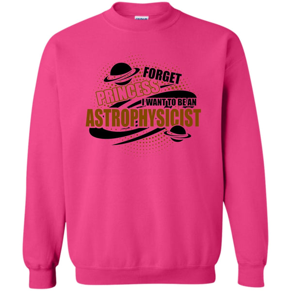 Coolest Astrophysicist T Shirt, Forget Princess Sweatshirt
