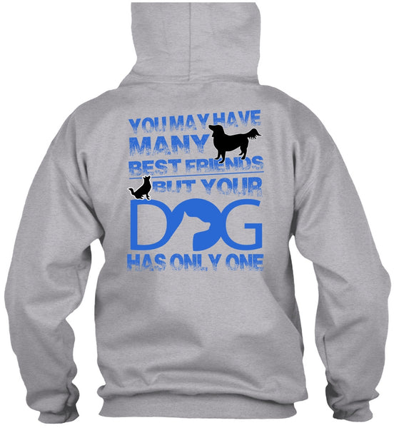 Your Dog Has Only One T Shirt, I Love My Dog T Shirt