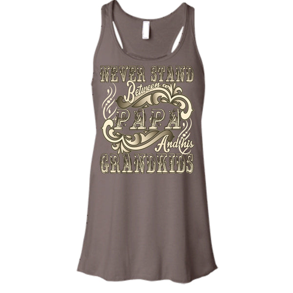 Never Stand Between T Shirt, Papa And His Grandkids Tank Top