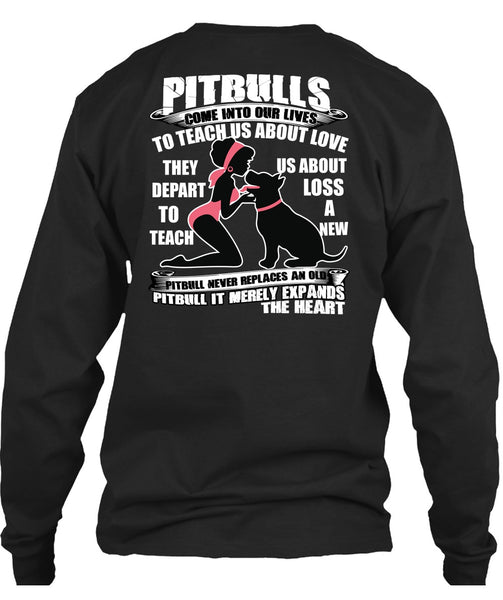 Pit Bulls Come Into Our Lives T Shirt, My Favorite T Shirt