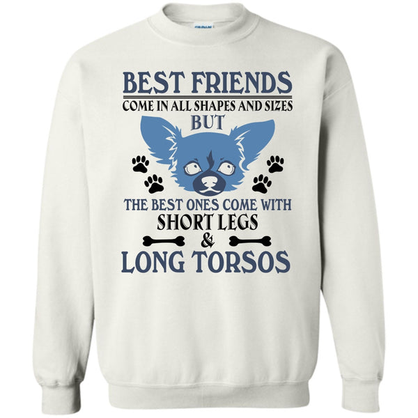 Coolest Dog T Shirt, Best Friends Come In All Shapes And Size Sweatshirt
