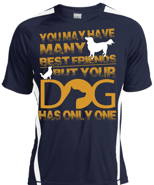 Your Dog Has Only One T Shirt, You May Have Many Best Friend T Shirt, Cool Shirt