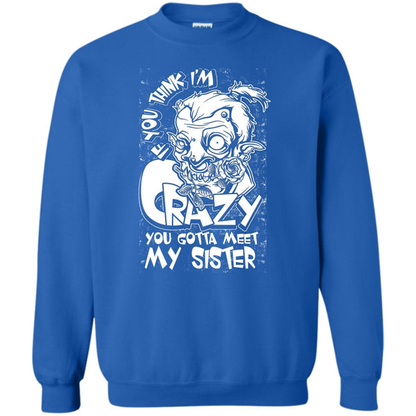 You Gotta Meet My Sister T Shirt, Coolest Sister Sweatshirt