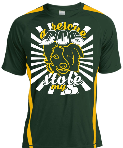 A Rescue Dog Stole My Heart T Shirt, Favorite T Shirt, I Love Dog T Shirt