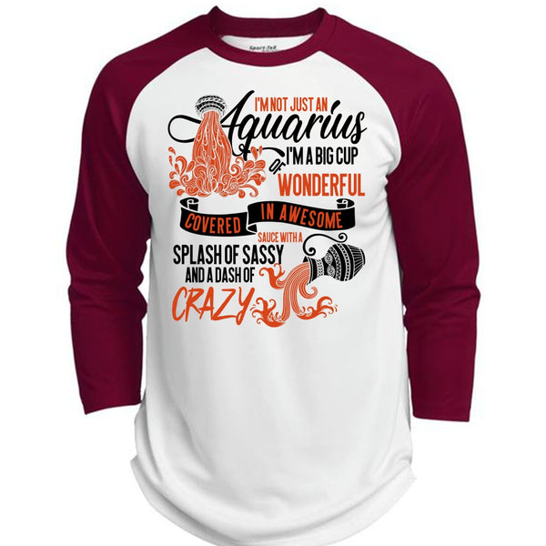 I'm Not Just An Aquarius T Shirt, I Love Aquarius T Shirt, Awesome T-Shirts  (Polyester Game Baseball Jersey)