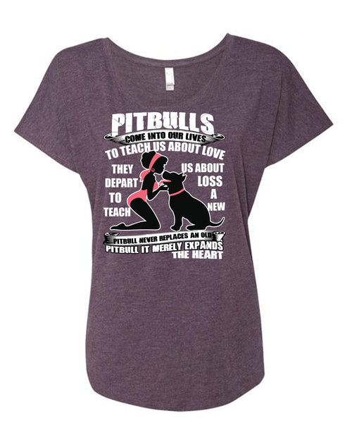 Pit Bulls Come Into Our Lives T Shirt, My Favorite T Shirt, Cool Shirt (Ladies' Triblend Dolman Sleeve)