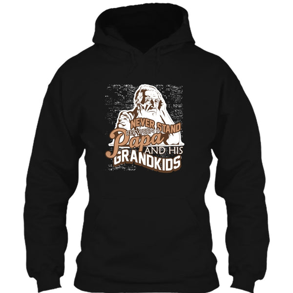 Never Stand Between T Shirt, A Papa And A His Grandkids T Shirt