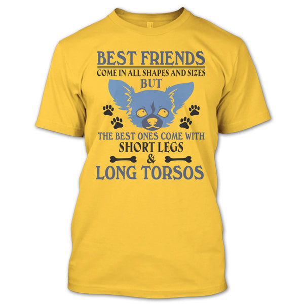Best Friends Come In All Shapes And Size T Shirt, Coolest Dog T Shirt