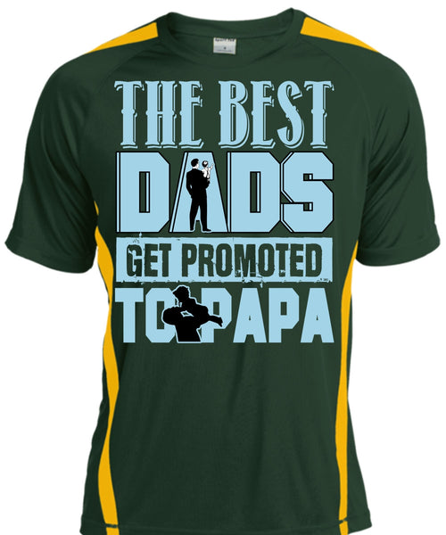 The Best Dads Get Promoted To Papa T Shirt, Being A Papa T Shirt, Cool Shirt