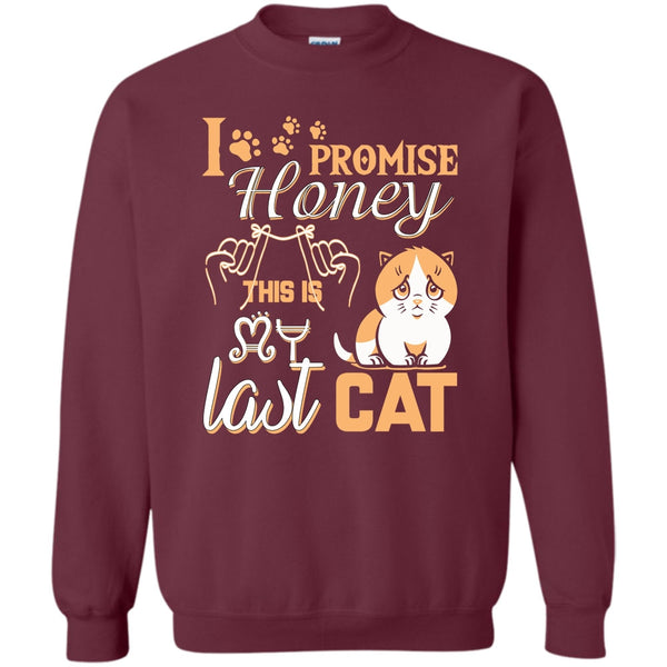 This Is My Last Cat T Shirt, Coolest Cat Lover Sweatshirt