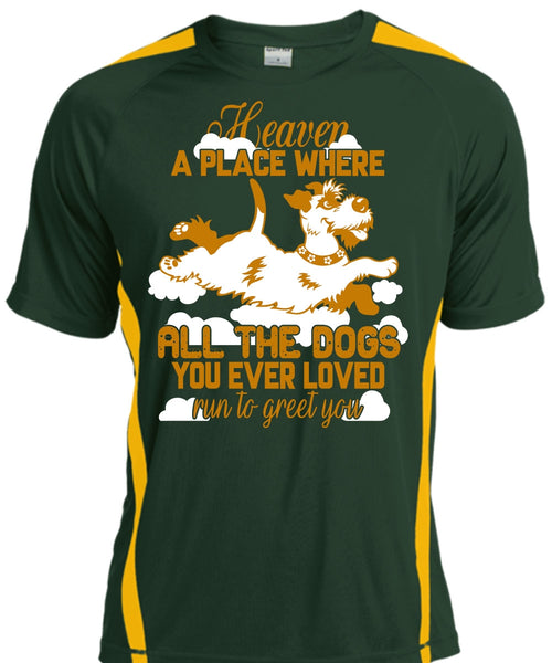 Heaven A Place Where All The Dogs T Shirt, Run To Greet You T Shirt, Cool Shirt