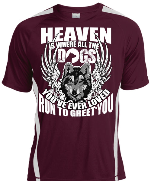 Heaven Is Where All The Dogs T Shirt, Run To Greet You T Shirt, Cool Shirt