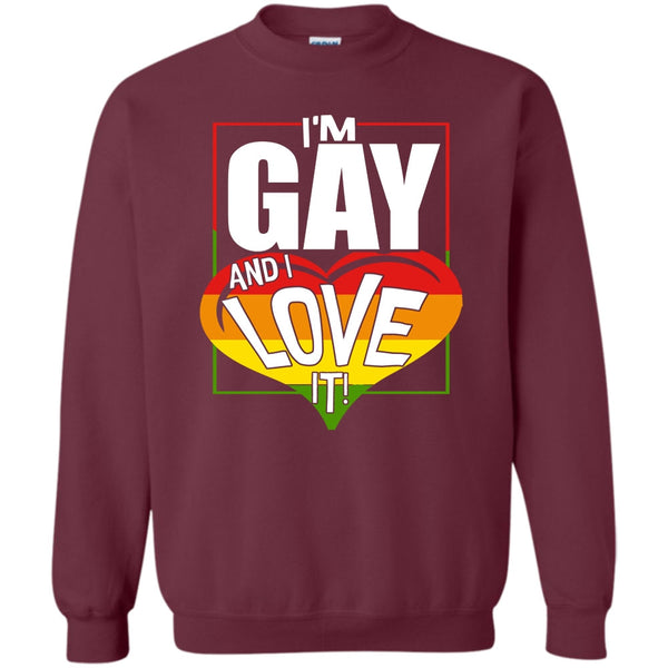 Coolest Gay T Shirt, Gift For Gay Sweatshirt