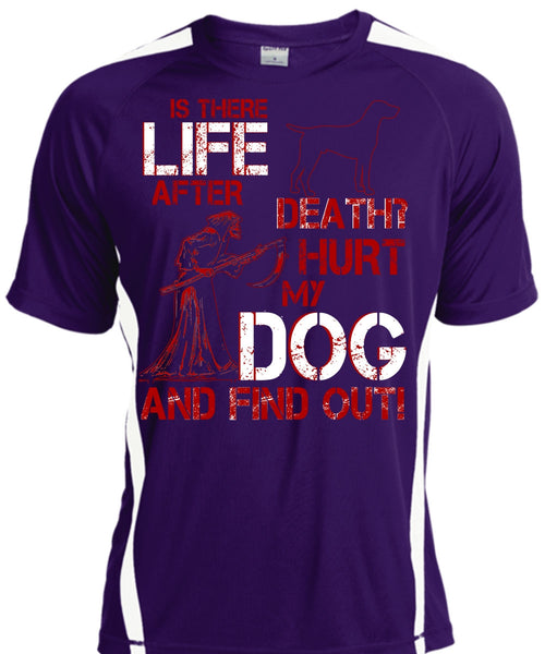 Hurt My Dog And Find Out T Shirt, Is There After Death T Shirt, Cool Shirt