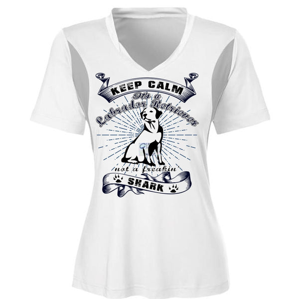 It's A Labrador Retriever T Shirt, I Love My Dog T Shirt, Awesome T-Shirts