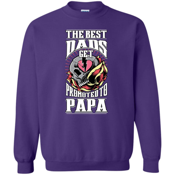 Get Promoted To Papa T Shirt, Coolest Papa Ever Sweatshirt