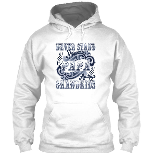 Never Stand Between T Shirt, Coolest Papa T Shirt