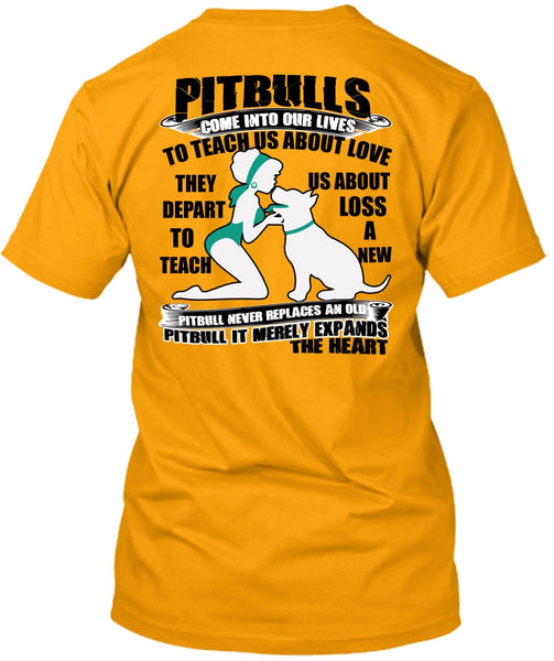Pit Bulls Come Into Our Lives T Shirt, I Love Pit Bull T Shirt
