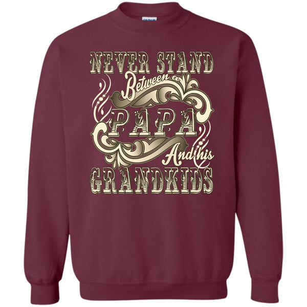 Papa And His Grandkids T Shirt, Coolest Papa Sweatshirt