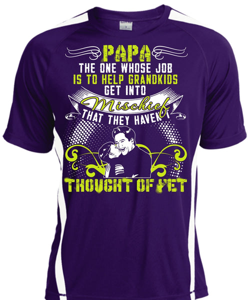 Papa The One T Shirt, Help Grandkids T Shirt, Cool Shirt