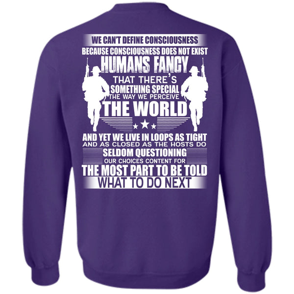 We Can't Define Consciousness T Shirt, I Love Veteran Sweatshirt