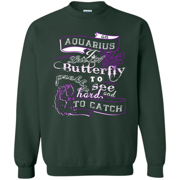 Pretty To See Hard And To Catch T Shirt, I'm A Coolest Aquarius Sweatshirt