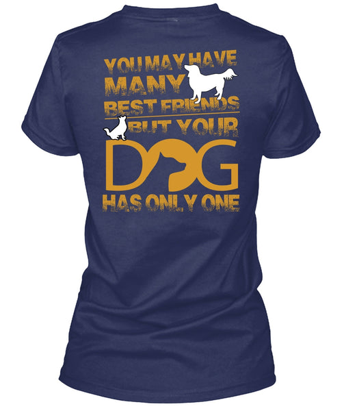 Your Dog Has Only One T Shirt, You May Have Many Best Friend T Shirt