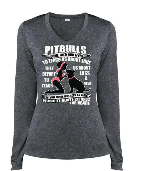Pit Bulls Come Into Our Lives T Shirt, My Favorite T Shirt