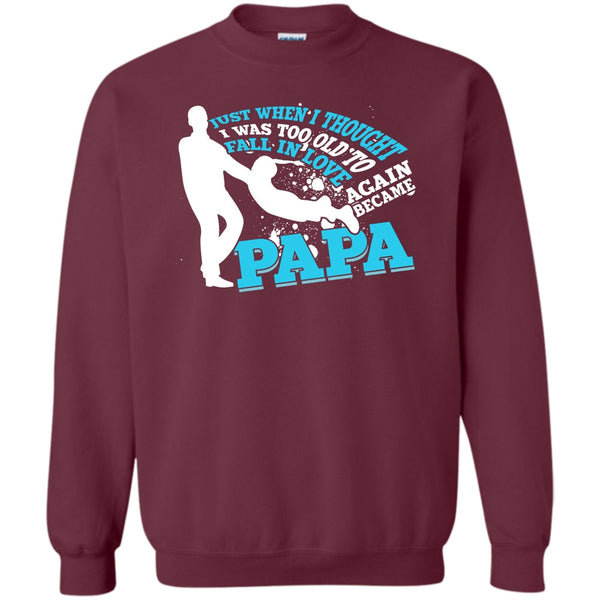 Became Papa T Shirt, Coolest Papa Eve Sweatshirt